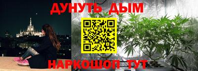 скорость Будённовск