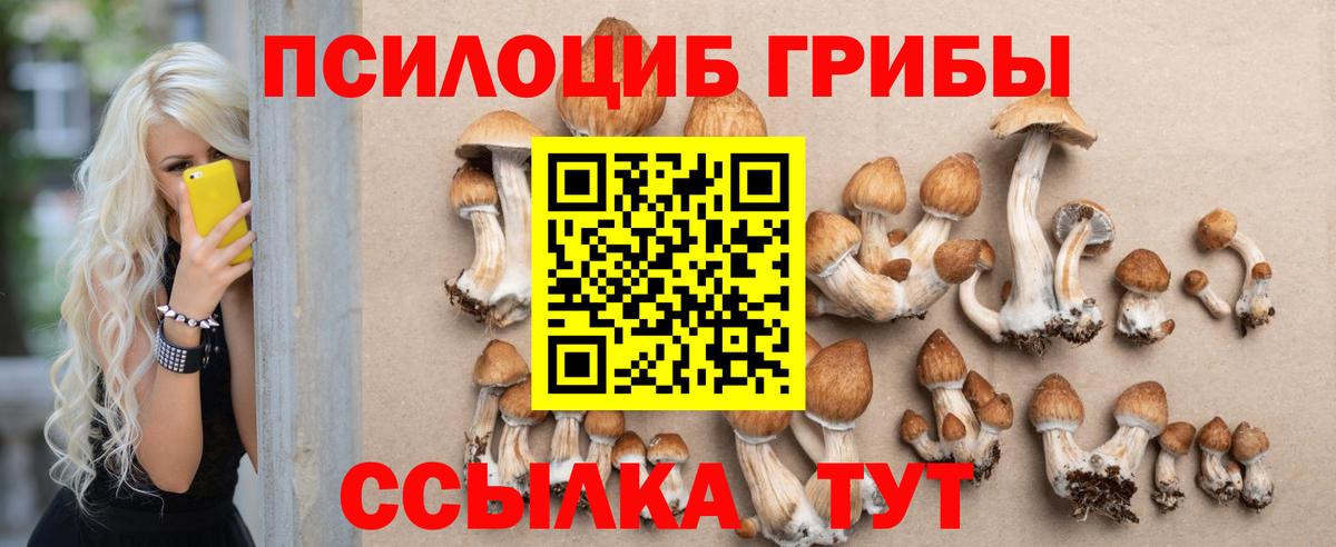Гагарин  Псилоцибиновые грибы MAGIC MUSHROOMS  Вход с VPN  как найти   Псилоцибиновые грибы прущие грибы 